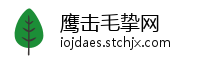 鹰击毛挚网